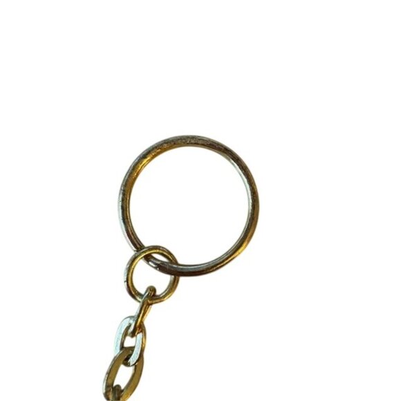 The Humane Society Of The United States 2002 Gold-Tone Metal Keychain With Dog & - Picture 4 of 6